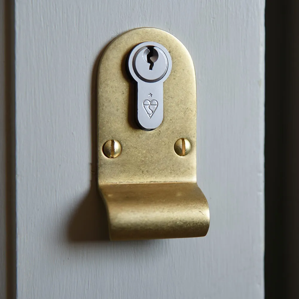 Aged Brass Euro Cylinder Latch Pull