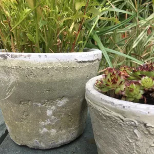 Aged Terracotta Cactus Pot - Various Sizes