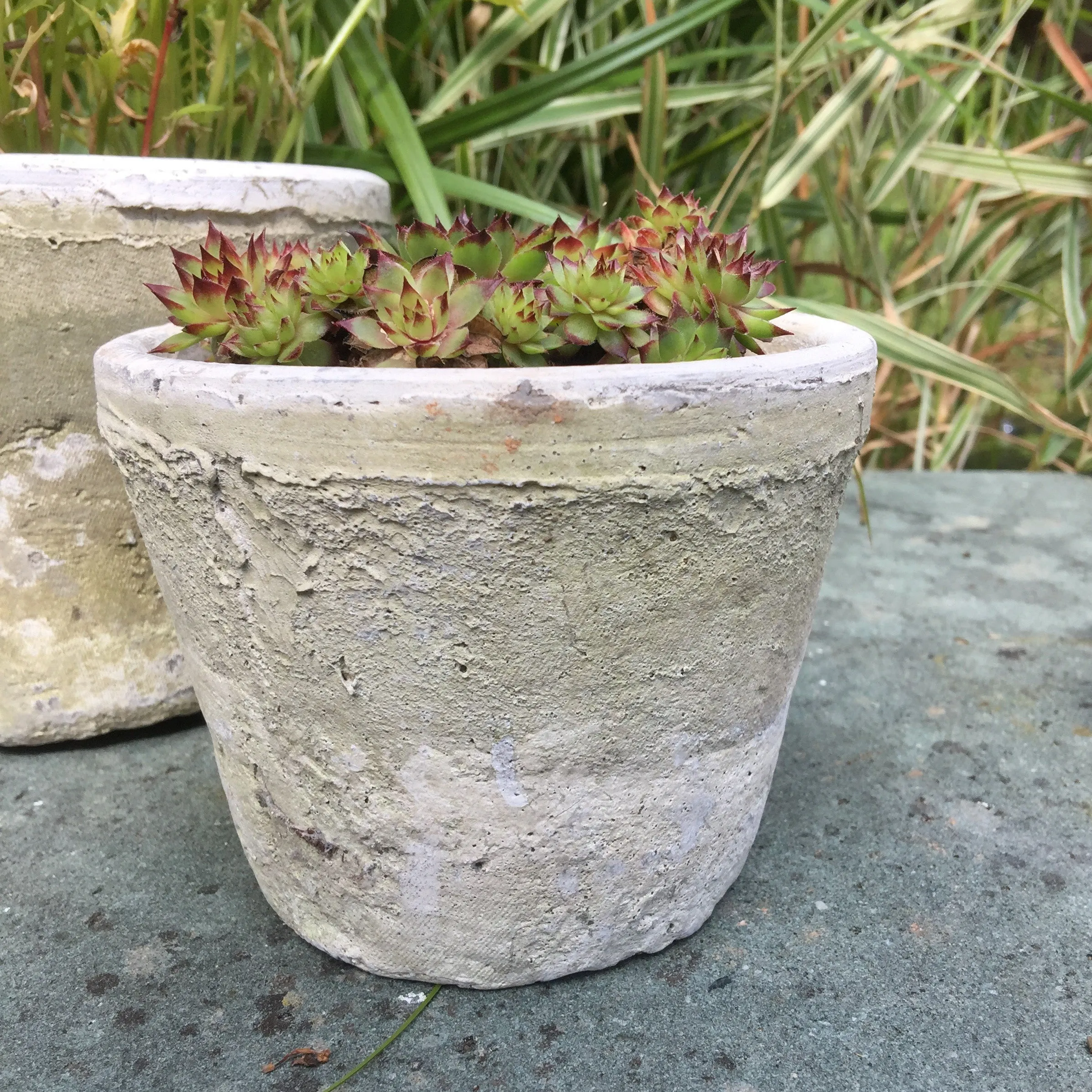 Aged Terracotta Cactus Pot - Various Sizes