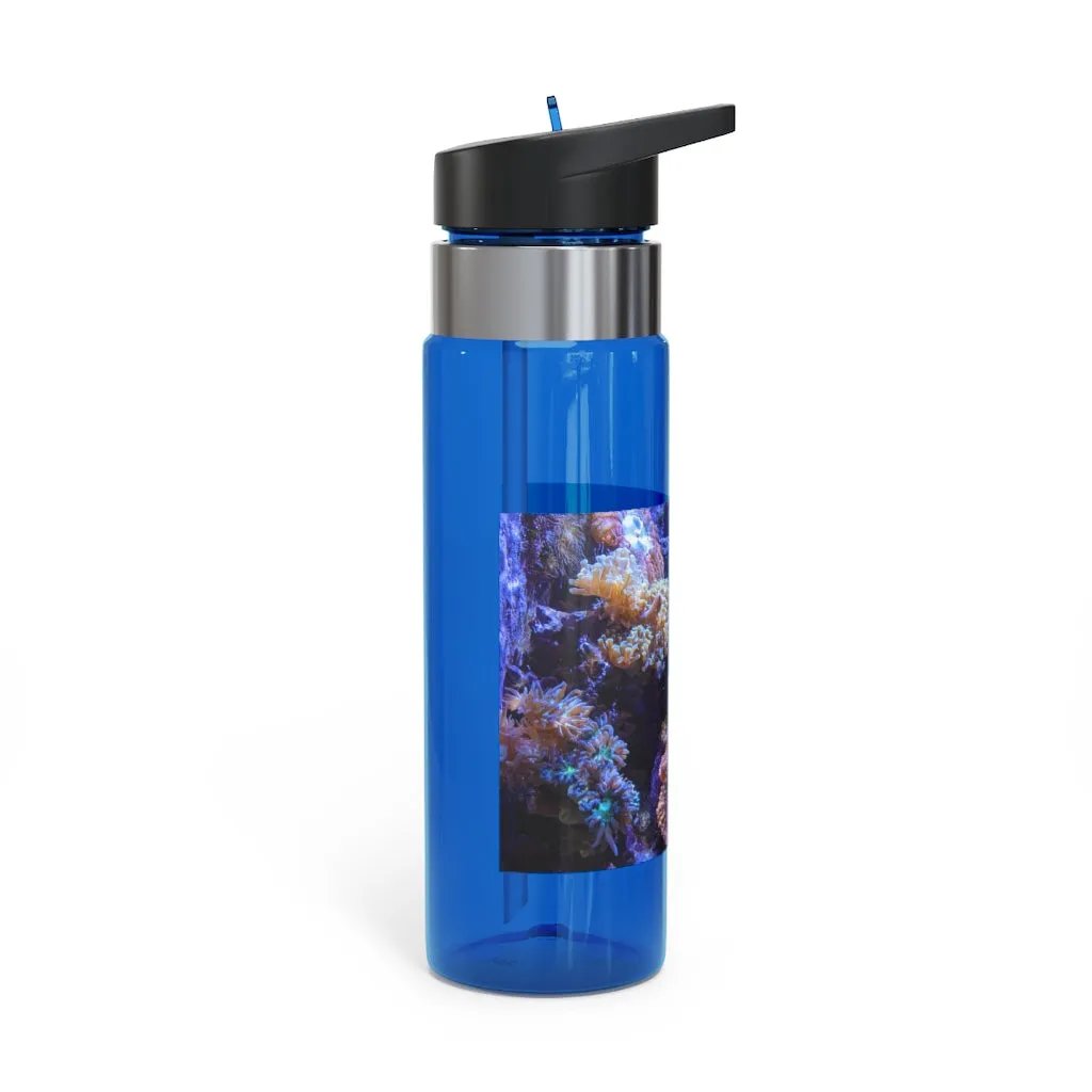 Aquarium Kensington Tritan™ Sport Bottle, 20oz