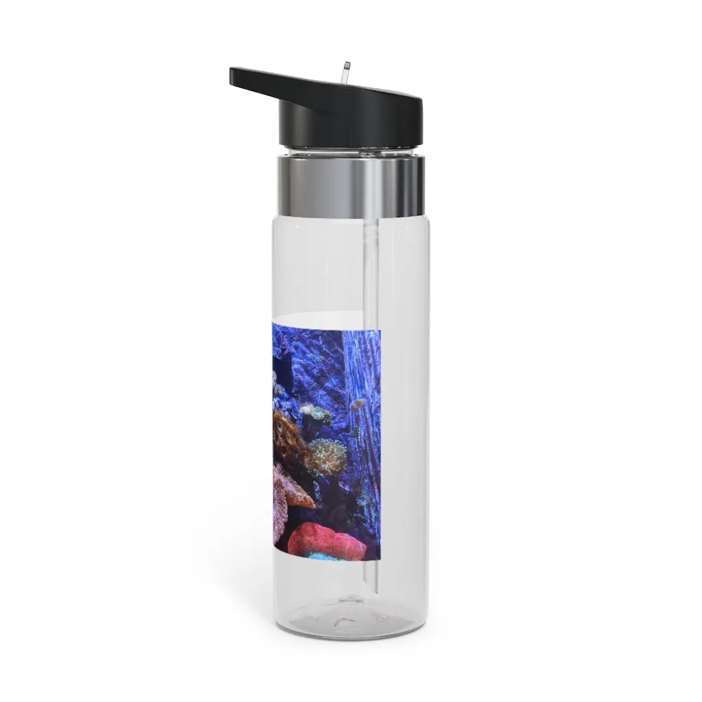 Aquarium Kensington Tritan™ Sport Bottle, 20oz