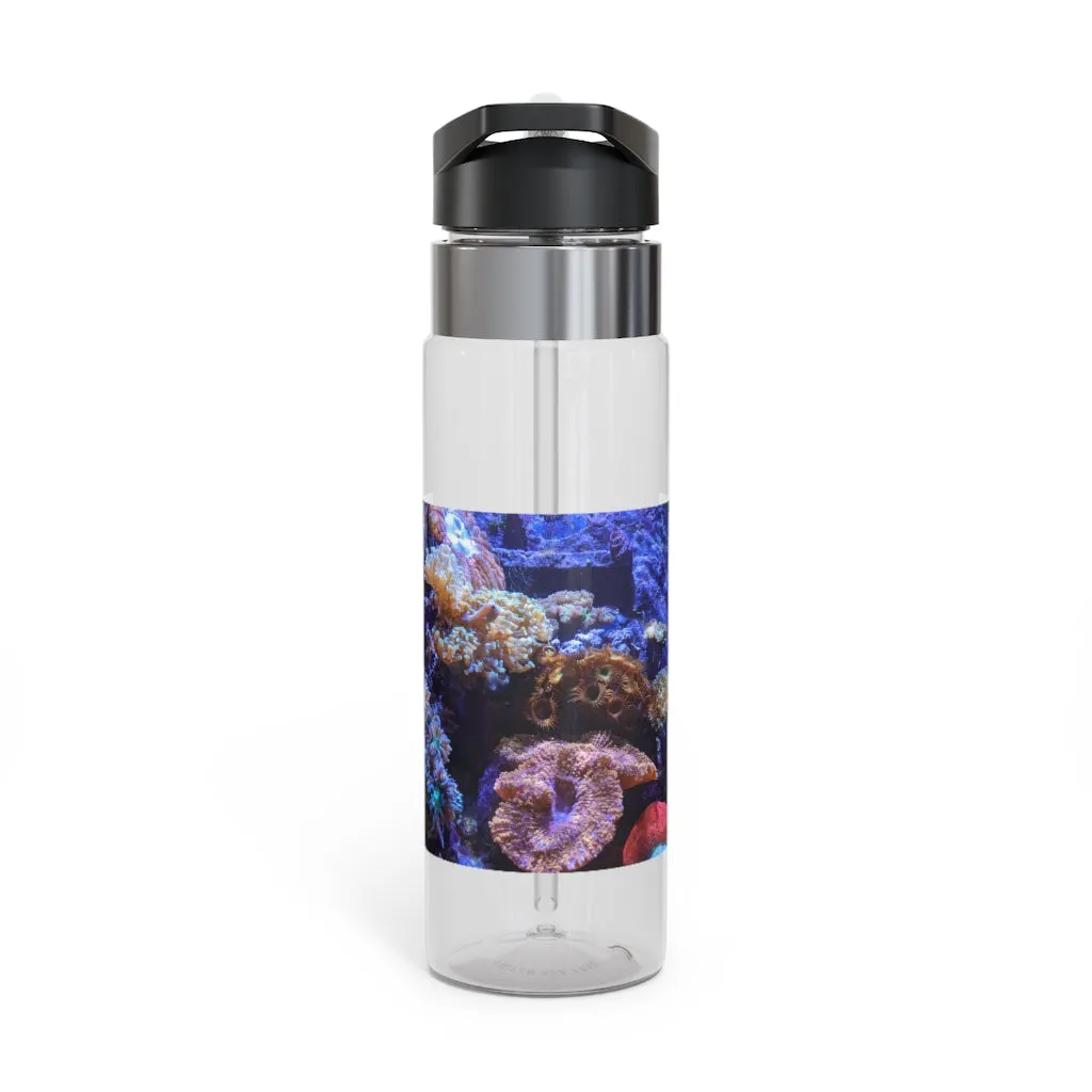 Aquarium Kensington Tritan™ Sport Bottle, 20oz