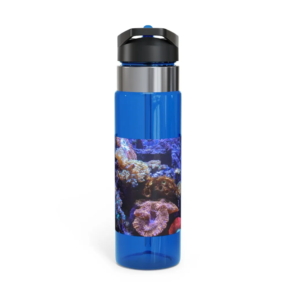 Aquarium Kensington Tritan™ Sport Bottle, 20oz