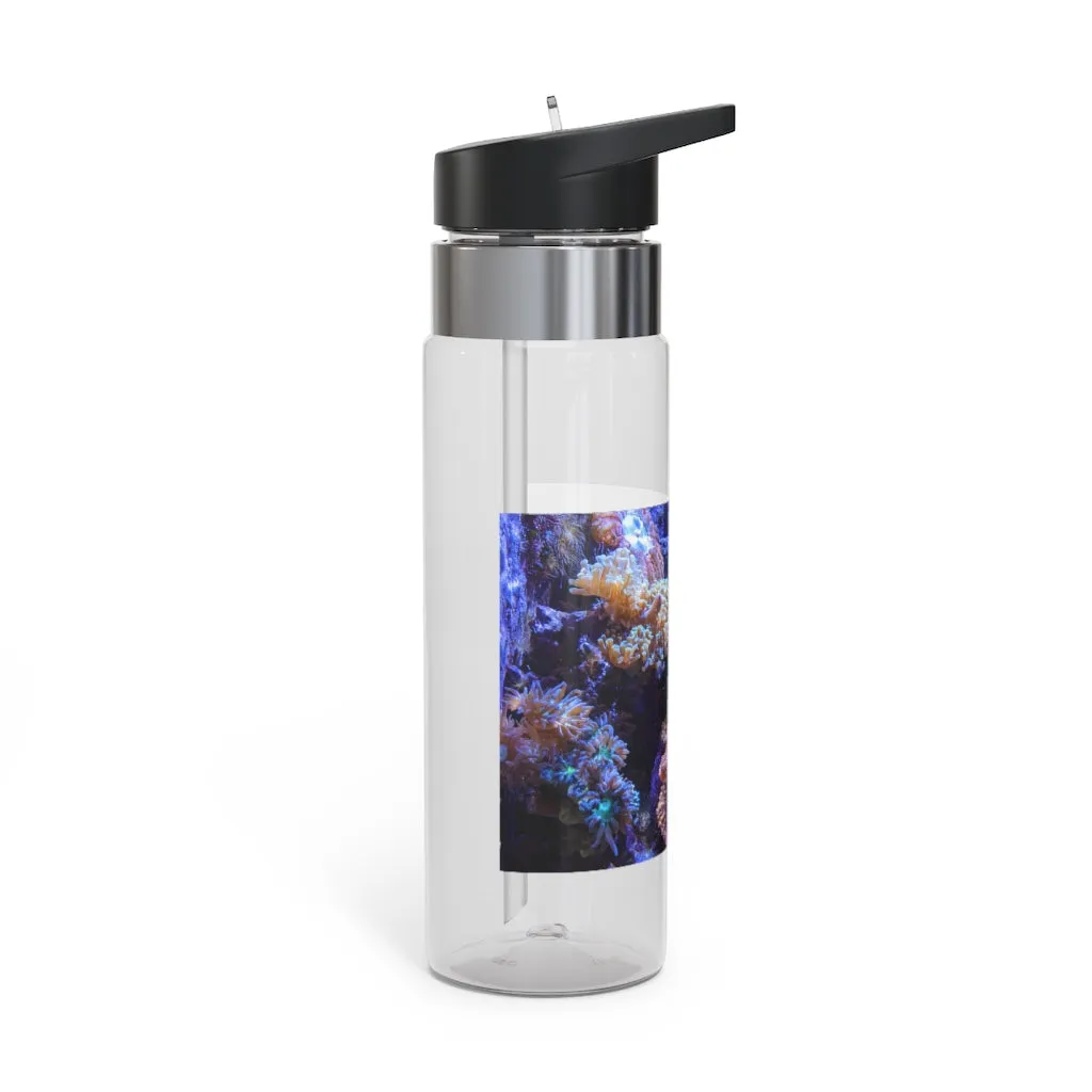 Aquarium Kensington Tritan™ Sport Bottle, 20oz