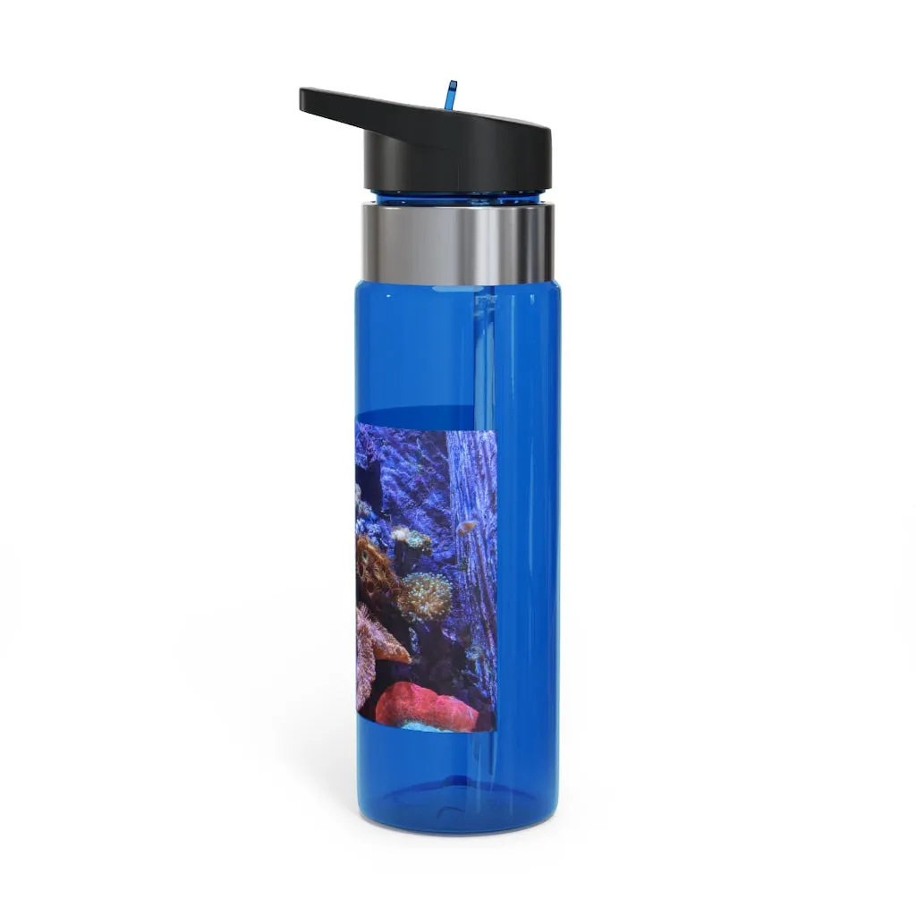 Aquarium Kensington Tritan™ Sport Bottle, 20oz