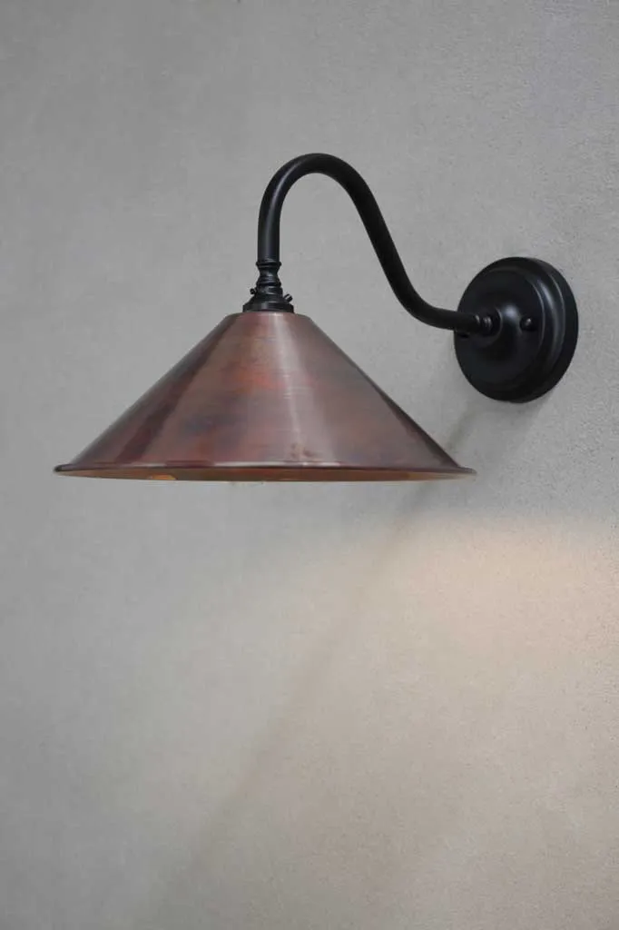 Cone Gooseneck Wall Light