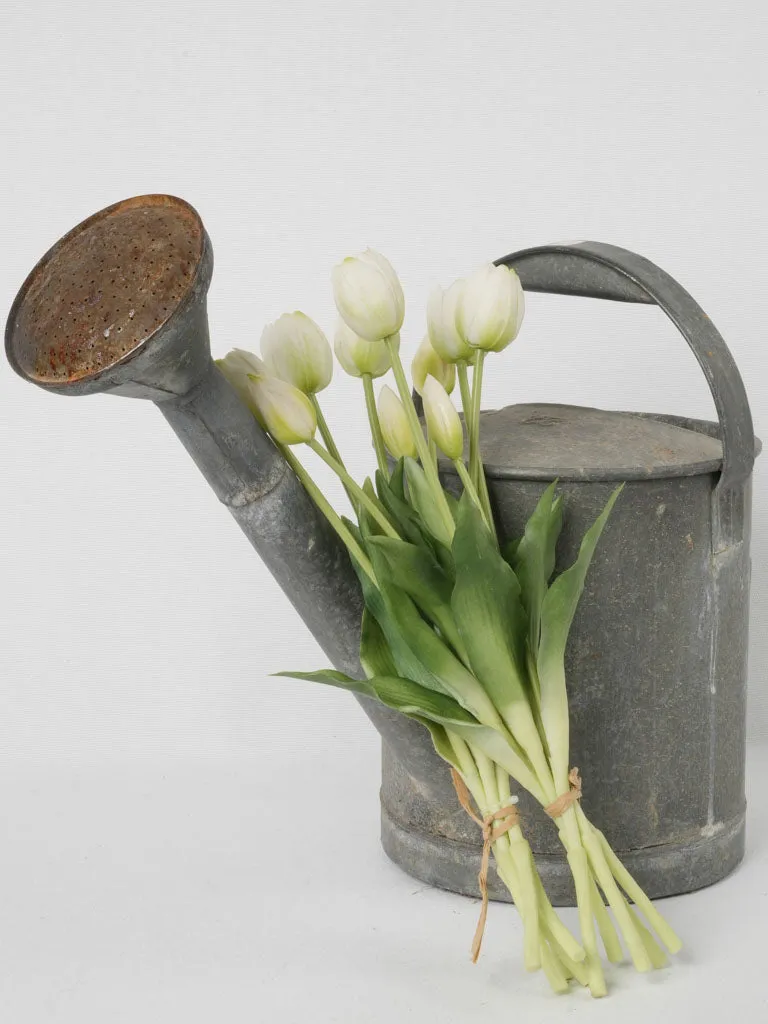 Early 20th-Century French Zinc Watering Can