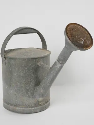 Early 20th-Century French Zinc Watering Can